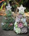 (🎁EARLY CHRISTMAS SALE - 50% OFF) 🎄Handcrafted Succulent Art Tree, Buy 2 Free Shipping Only Today