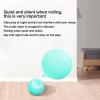 🔥Last Day Promotion 50% OFF🔥USB charging automatic cat ball