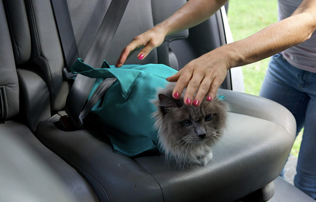 - 50% OFF) Cat Bag - Cat Carrier Lazy Cats- Buy 2 free shipping