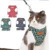 Hot Sale 48% OFF-Cat Vest Harness + Leash Set(🔥🔥BUY 2 GET EXTRA 10%OFF&FREE SHIPPING)