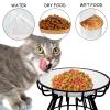 💲ONE DAY 70% OFF🥣Whisker-Friendly Anti-Vomit Cat Plate 💲BUY 2 SAVE 10%&📦BUY 2 FREE SHIPPING