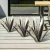 🔥LAST DAY 71% OFF🎁 Anti-rust Metal Tequila Agave Plant