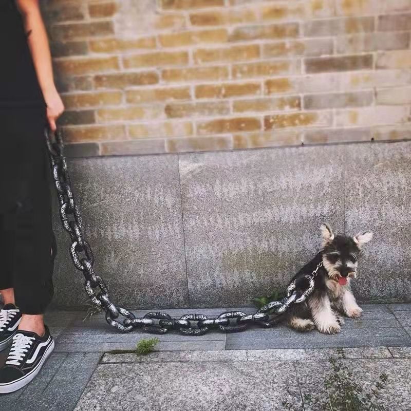 🔥Last Day Promotion - 60% OFF-🎁-🐾A small chain restrains the fierce pet🤣