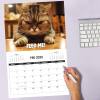 Buy 2 Free Shipping😾2025 Pissed-off Cats Calendar - Funny Cat Themed Gifts For Cat Lovers🎁