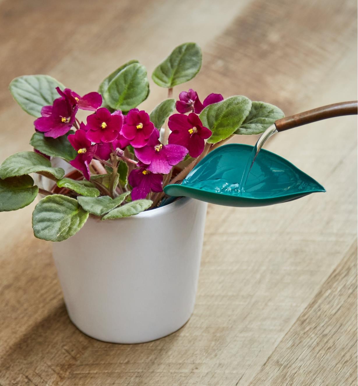 🔥(Last Day Promotion - 50% OFF) Watering Leaf For Plants