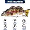 🔥Last Day Sale 49% OFF - Robotic Auto-Swimming Fishing Lure, 🎁BUY 2 FREE SHIPPING