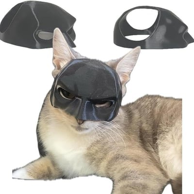 Bat Cat Avenger Mask
