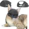 Bat Cat Avenger Mask