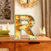 3D Nativity Monogram Ornament With Light