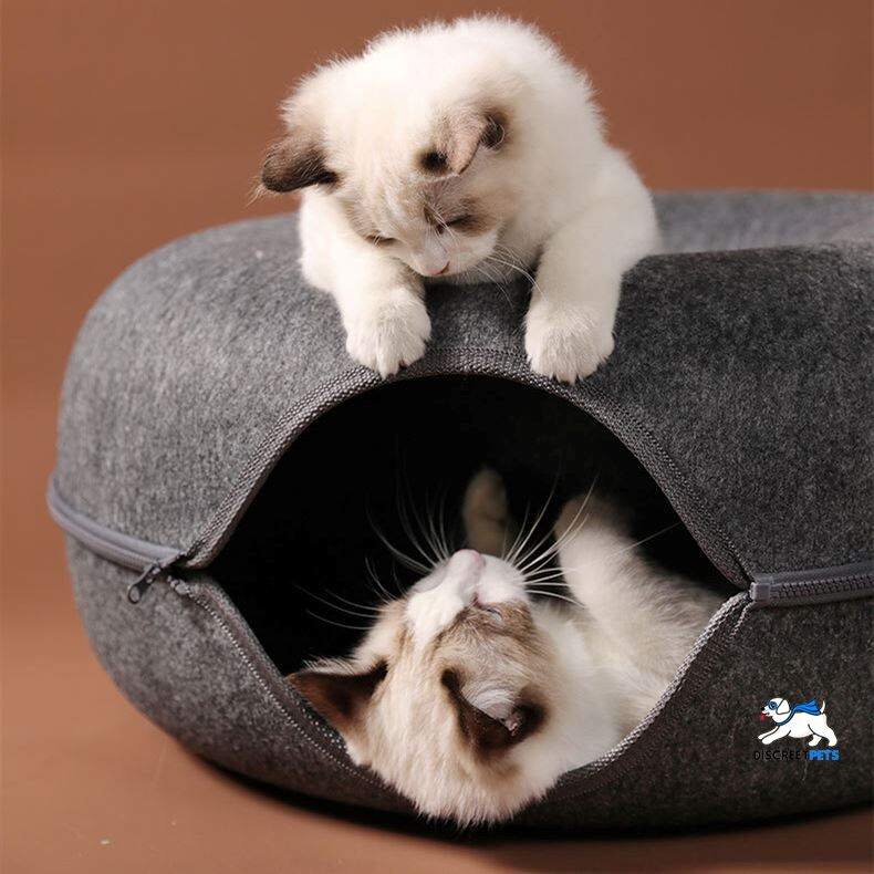 🔥LAST DAY 71% OFF--Discreet Pets Cat Tunnel Bed(BUY 3 SAVE $10 & FREE SHIPPING)