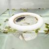 🔥Last Day: 50% OFF🐟Floating Betta Fish Skins