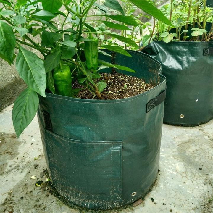 (SUMMER LIMITED TIME PROMOTION - 50% OFF) 10 Gallons Large Capacity Vegetables Grow Planter PE Container Bag