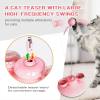 Cat Interactive Toy