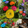 🐝Bee/Butterfly/Hummingbird  Watering Station🦋