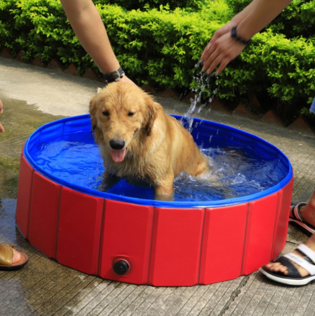 (Factory Outlet Sale- Save 50% OFF) Portable Paw Pool