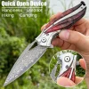 Purely Handmade VG-10 Damascus Folding Knife | EDC Camping Tool