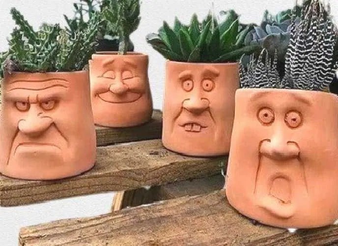 Flower pots decorated with a caricature of a face