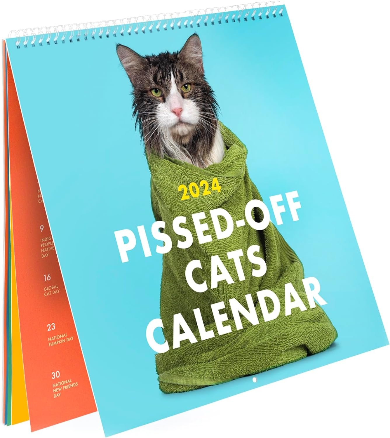 (🔥HOT SALE NOW 49% OFF) - 2024 Pissed-Off Cats Calendar