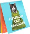 (🔥HOT SALE NOW 49% OFF) - 2024 Pissed-Off Cats Calendar