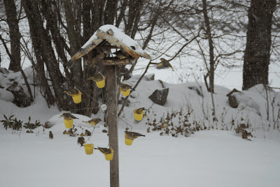 🎅Christmas Promotion 48% OFF-🎁-Ferris Wheel Bird Feeder🐦