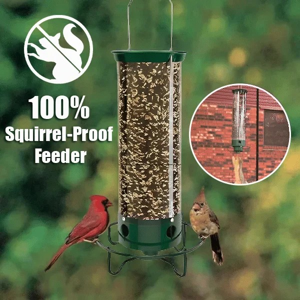 🔥Last day discount🐦Squirrel-proof bird feeder💥Free shipping to your home with purchases over $39