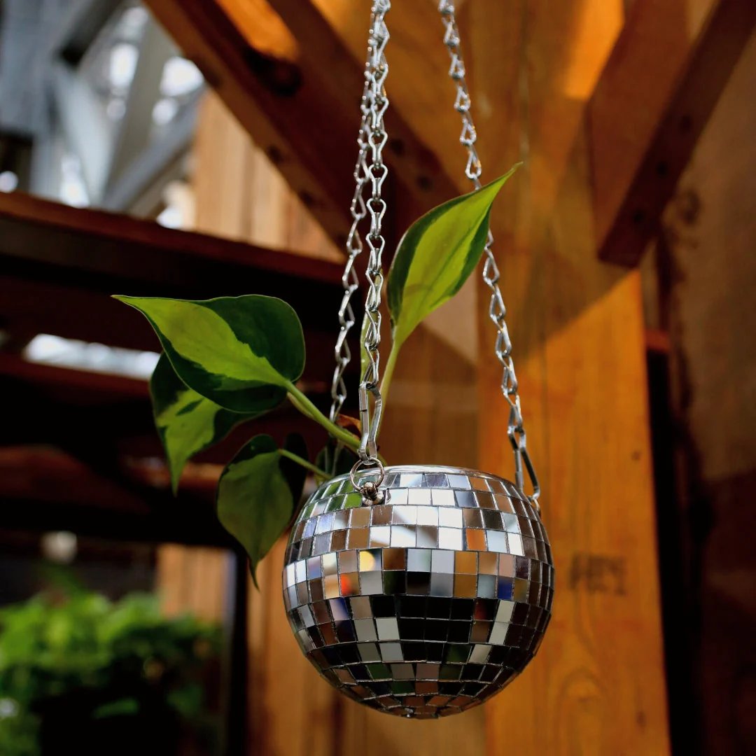🎁TikTok Last Day Sale - 70% OFF🔥Disco Ball Planter