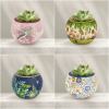 🧩Bird and Flower Puzzle Flowerpot
