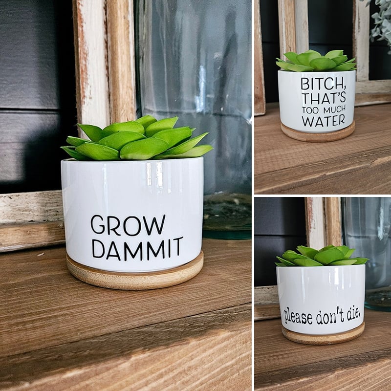 🌼Funny Succulent Pot