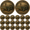 🏆Flash Sale 60% OFF - 🐊“Florida Gator & Prison Humor” Commemorative Coin