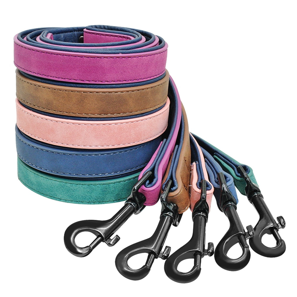 Personalized, Custom Engraved Leather Dog Collar & Leash Set