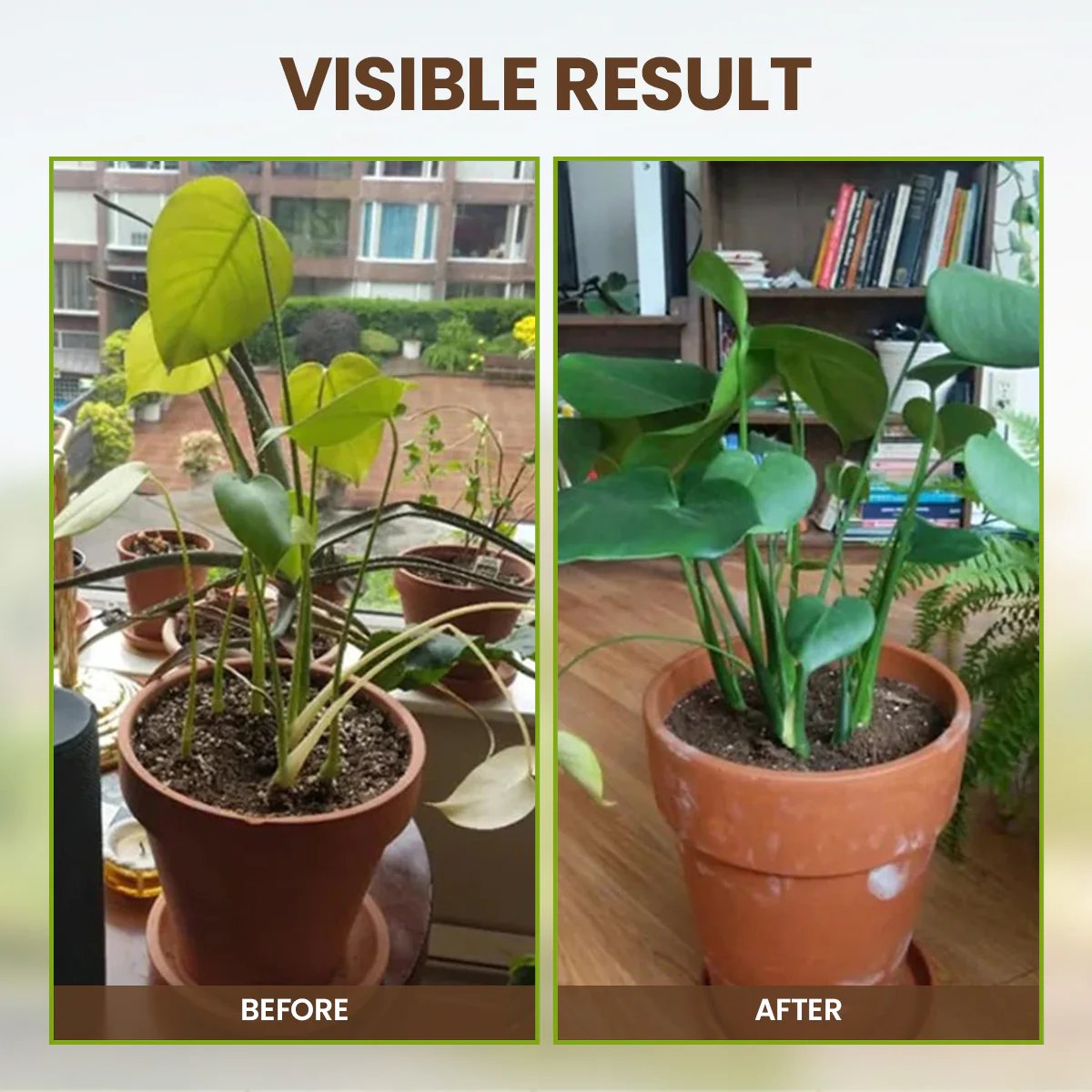 🔥Seasonal promotion🔥-Soil Pro Activator