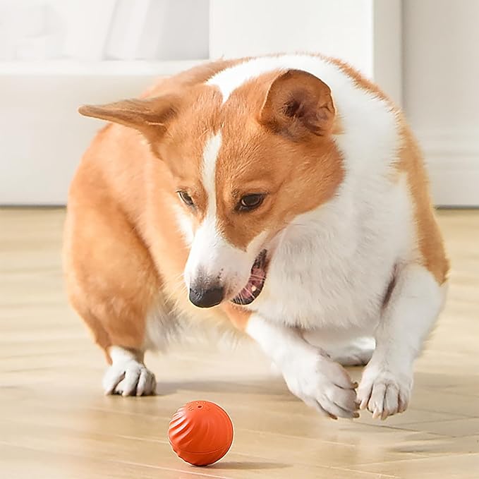 Automatic Smart Teasing Dog Ball That Can't be Bitten🐶