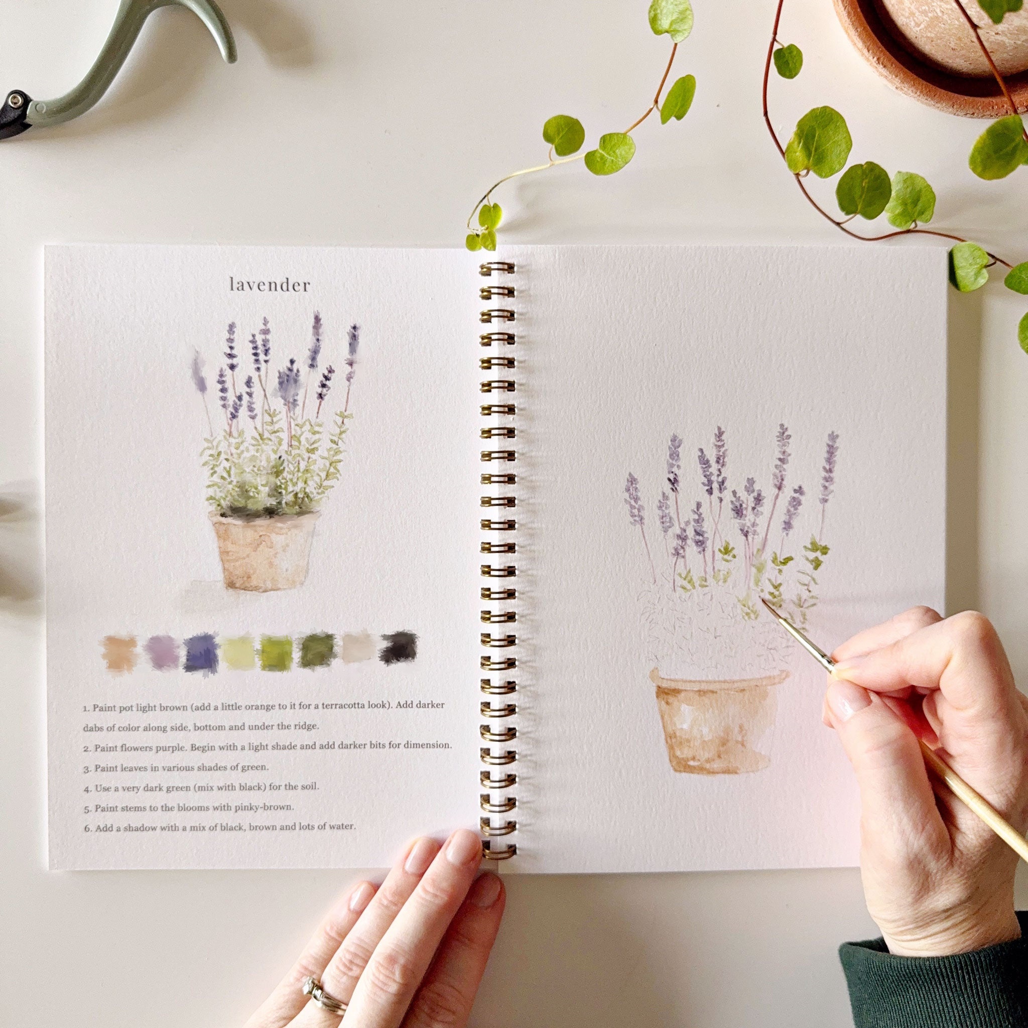 🏡Garden Watercolor Workbook