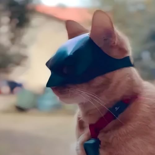 🔥LAST DAY 60% OFF - 🐱‍👤BatCat Mask