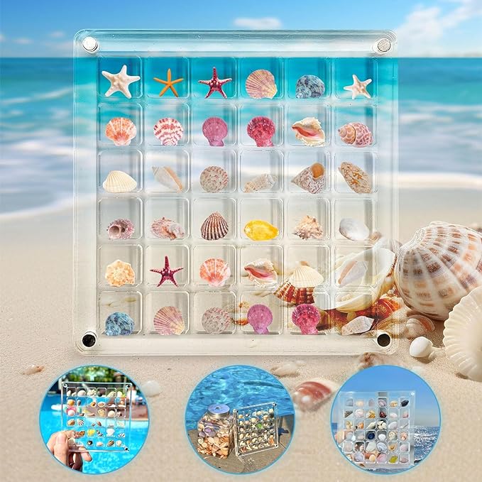 🔥Summer Hot Sale-50%OFF🐚Magnetic Seashell Display Case