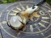 Owl Spirit Shamanic Talisman