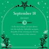 🔥LAST DAY SALE 50% OFF🧙📆2026 Witch's Calendar: Daily Magick Day-to-Day Calendar🔮