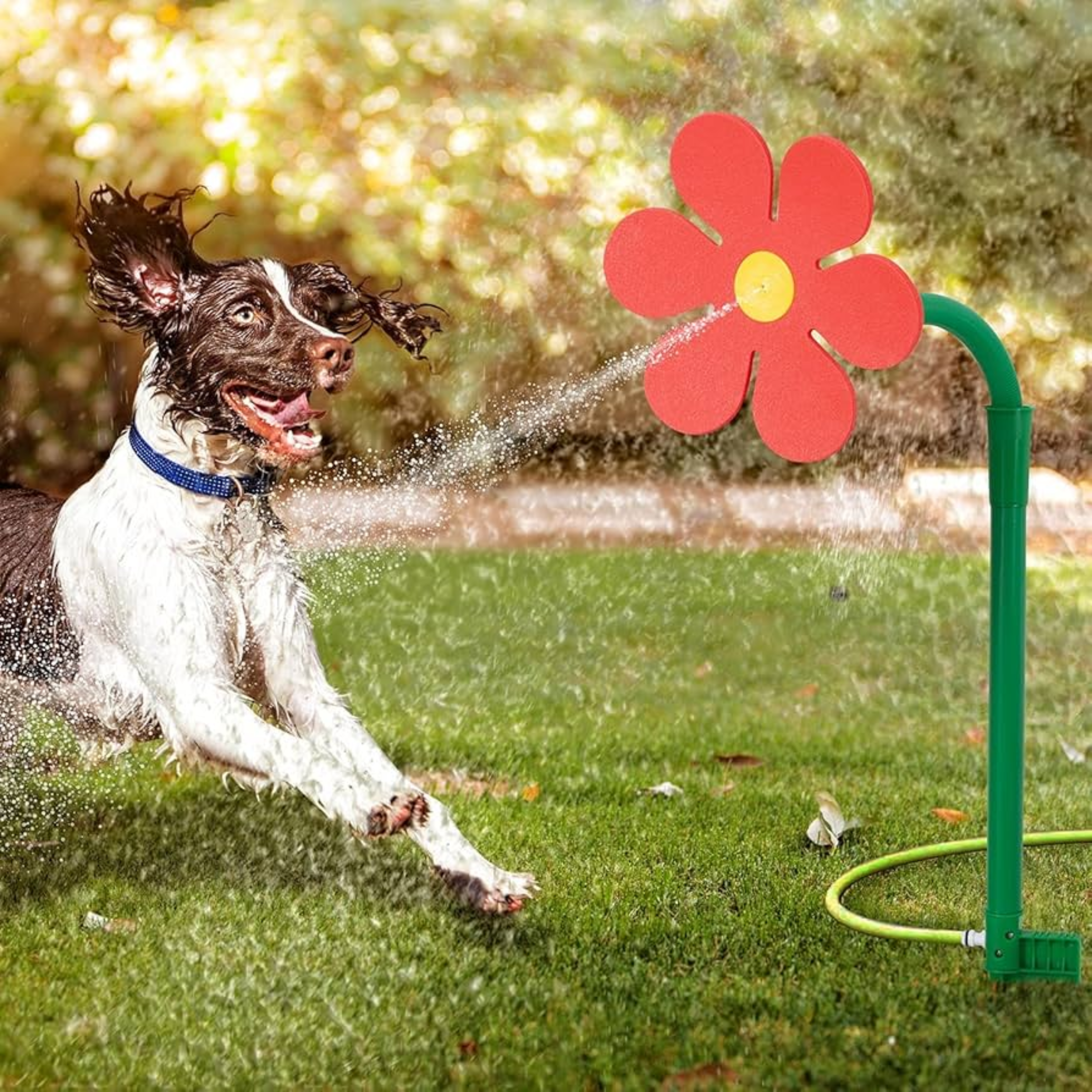 ⏰LAST DAY SALE 50% OFF💥Chewie Viral Crazy Daisy