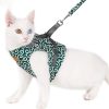 50% Off Cat Vest Harness and Leash Set to Outdoor Walking, Buy 2 Free Shipping