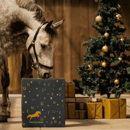 🔥Last Day Promotion 48% OFF-🎁-Horse Advent Calendar 2024🐎Free Shipping