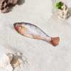🎁TikTok Last Day Sale - 70% OFF🎉Realistic Flopping Fish Cat Toys