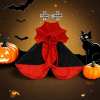 🎁TikTok Last Day Sale - 70% OFF🧛🧛Halloween Vampire Count Pet Cloak