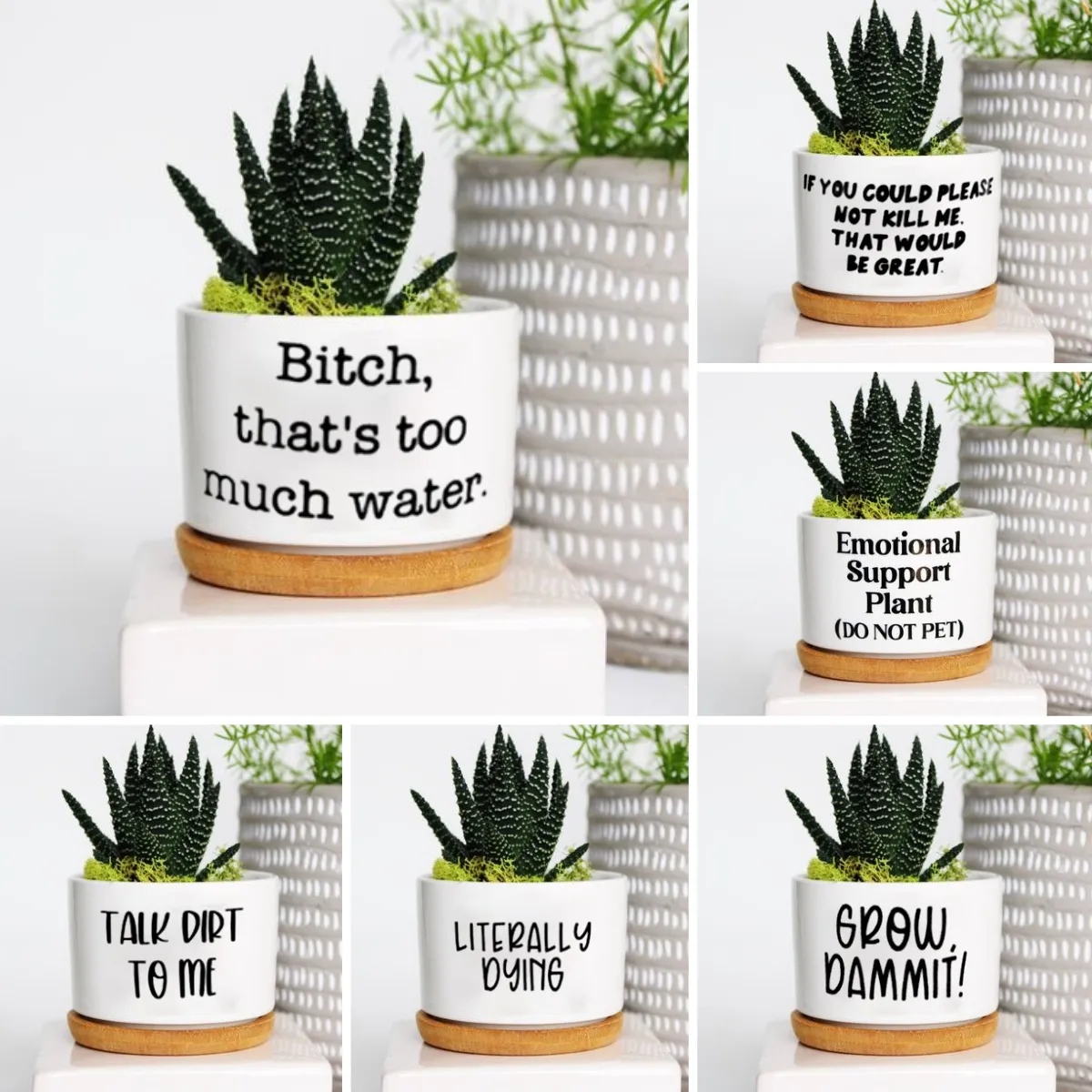 🔥New Year Promotion 50% Off-🌱Funny Plant Pot