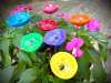 Bee Watering Station,Butterfly Puddler,Hummingbird Drinking Cups