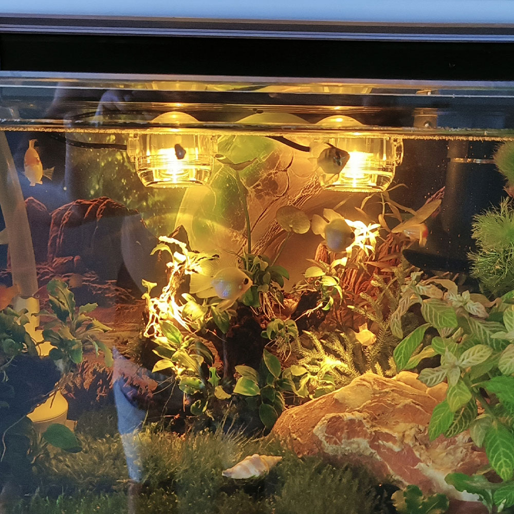⏰LAST DAY SALE 50% OFF💥USB LED Aquarium Spotlight