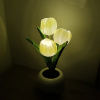 🔥Last Day Promotion - 50% OFF-🎁-🌷LED Tulip Night Light🌷