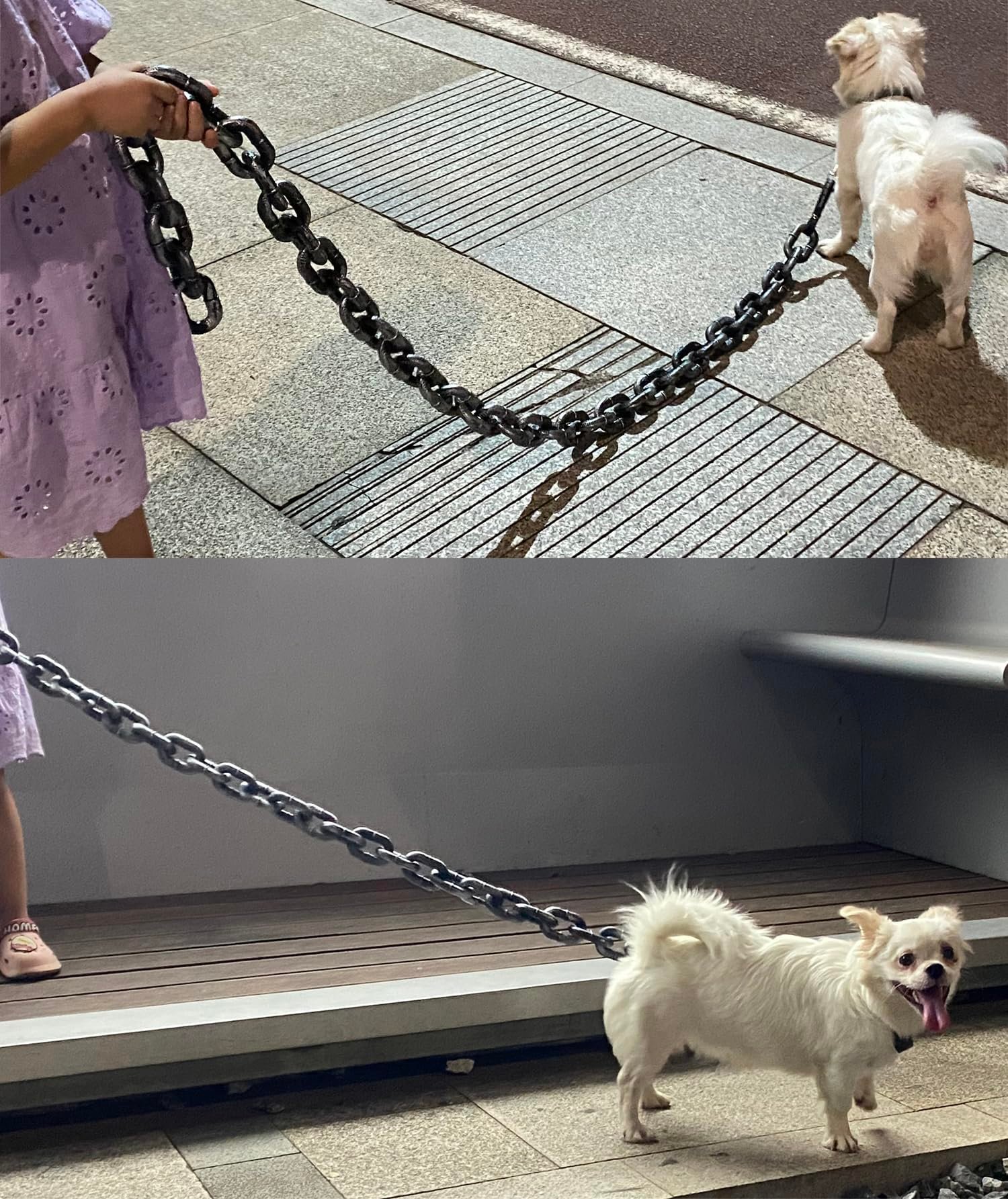 The Chain Paws