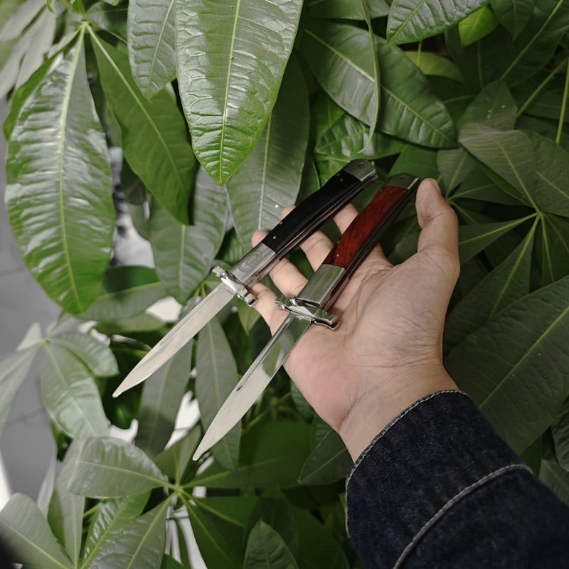 🎁TikTok Last Day Sale - 70% OFF🔥Vanguard Full Tang Survival Blade