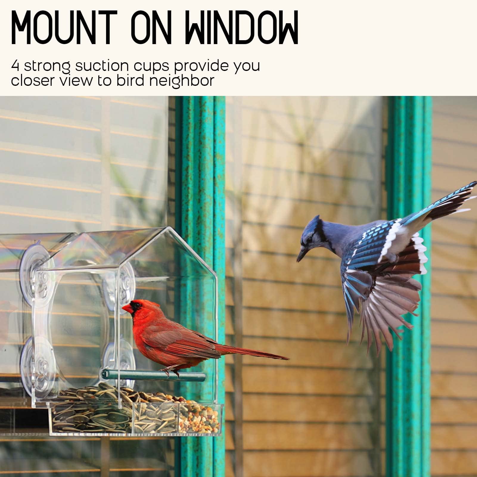 🔥Last Day Promotion 50% OFF🔥Window Bird Feeder for Outside--BUY 2 GET 10% OFF & FREE SHIPPING NOW!
