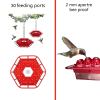 (🔥TikTok Chirstmas SALE)- Hummingbird Feeders